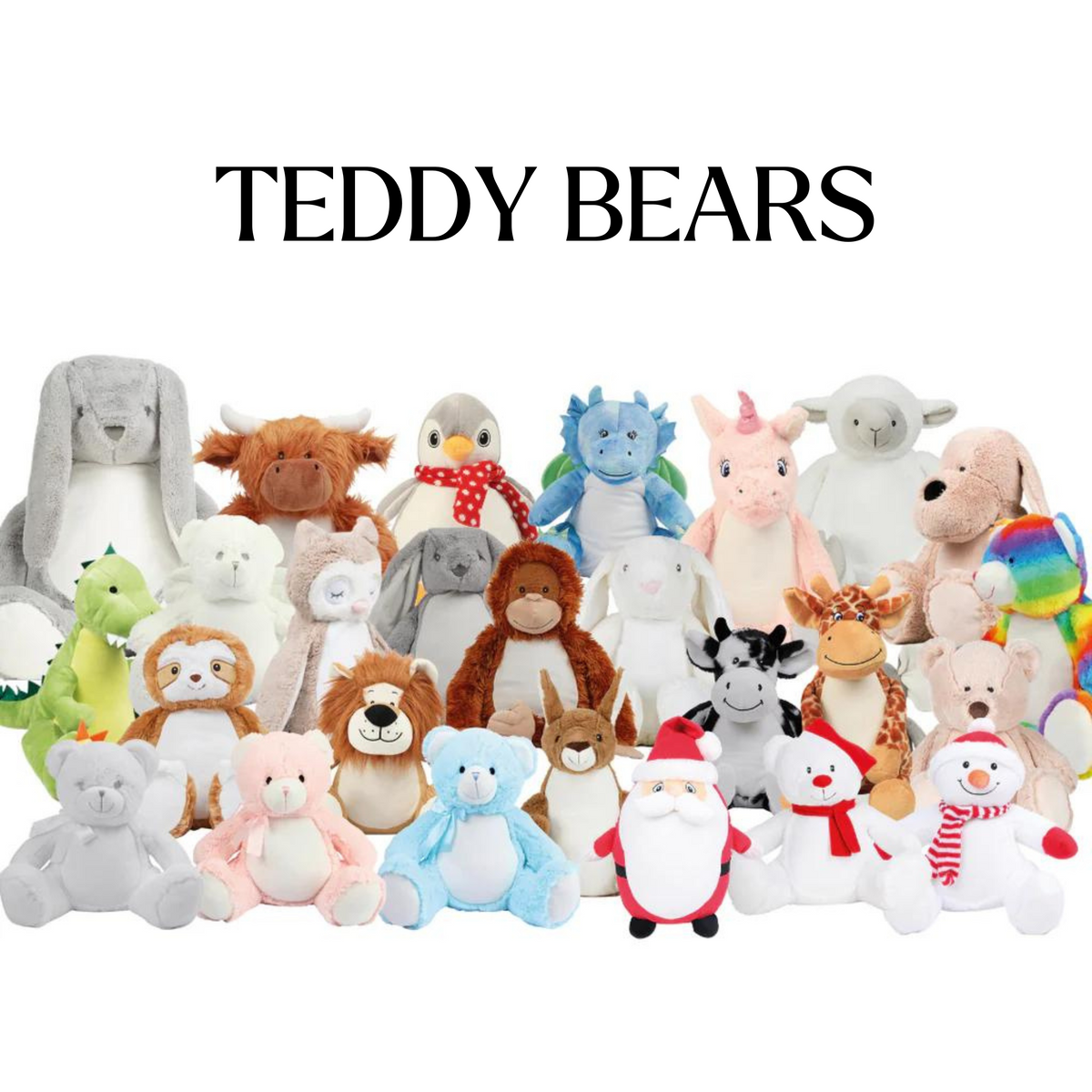 Teddy Collection